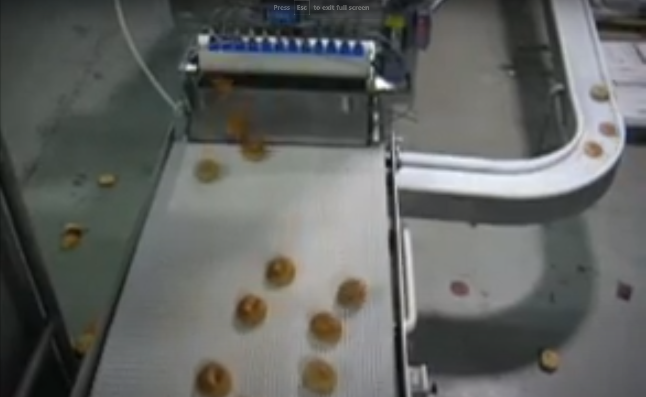 automated vision inspection for food producers